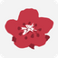 长荣航空 logo